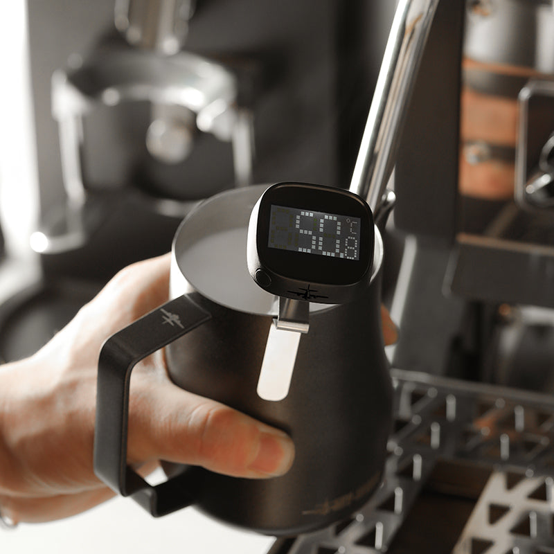 LCD Digital Thermometer