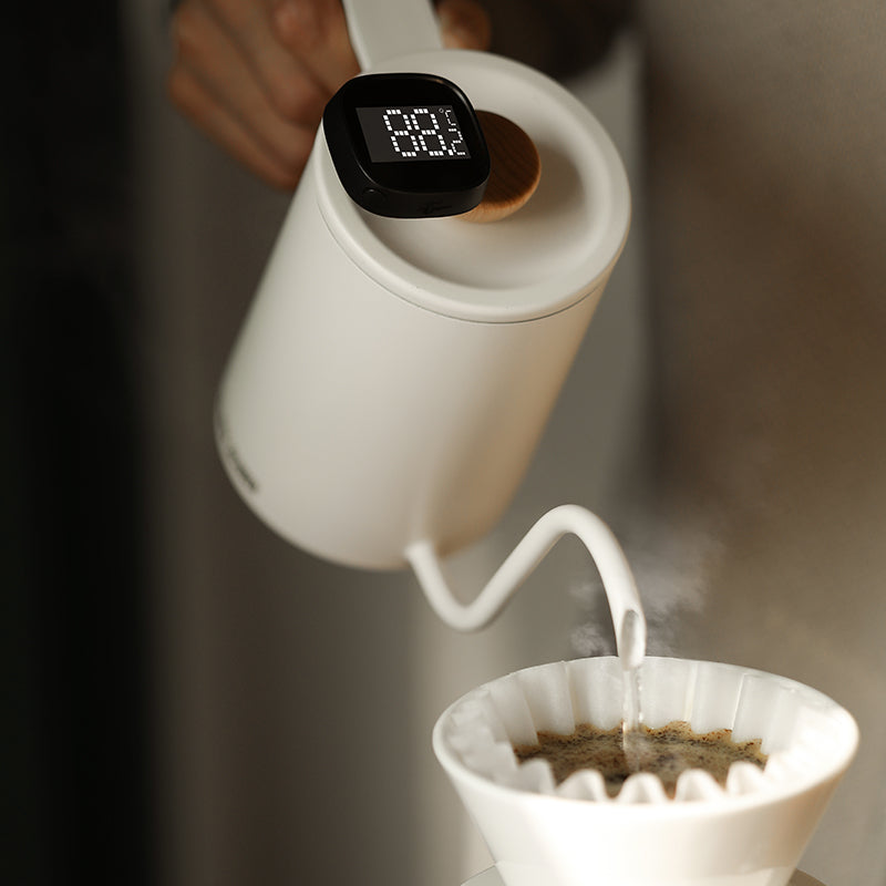 LCD Digital Thermometer