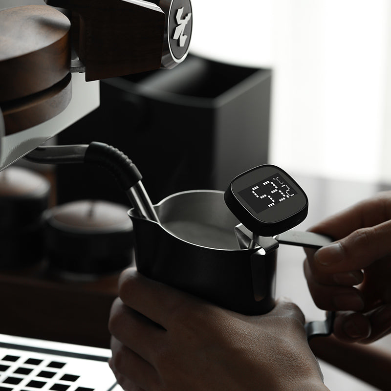 LCD Digital Thermometer