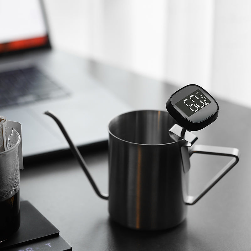 LCD Digital Thermometer