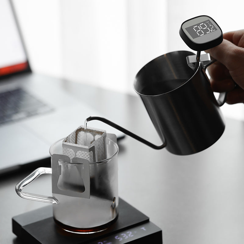 LCD Digital Thermometer