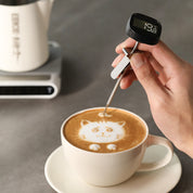 LCD Digital Thermometer