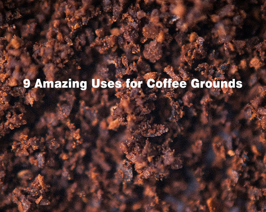 9 Amazing Uses for Coffee Grounds