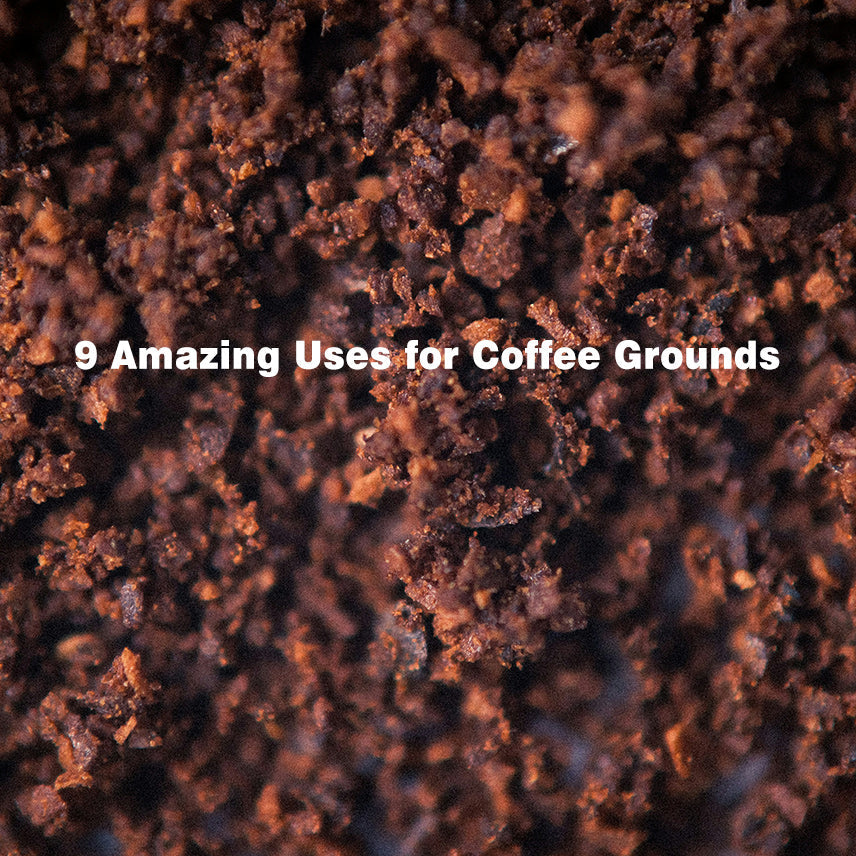 9 Amazing Uses for Coffee Grounds