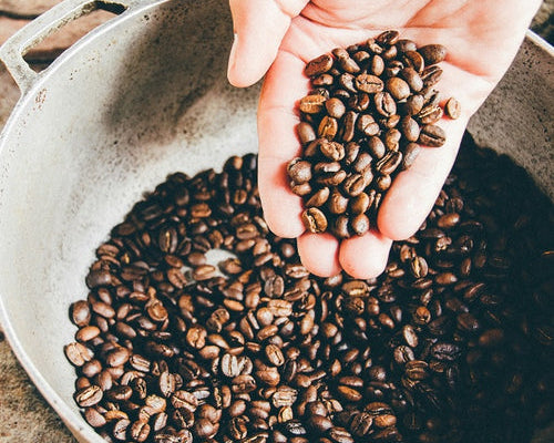 Filter Coffee Grind Size: A Simple Guide to Mastering the Basics