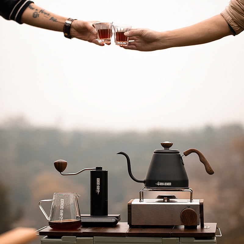 Pour Over Gooseneck Kettle